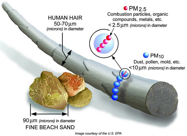 Particulate Matter in relation to humain hair (courtesy: EPA)