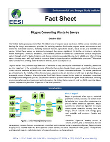 /files/FactSheet_Biogas_2017.09.pdf