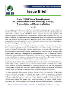 /files/IssueBrief_Skinny_Budget_041917.pdf
