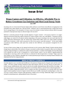 /files/biogas_issuebrief_061609.pdf