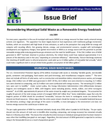 /files/eesi_msw_issuebrief_072109.pdf