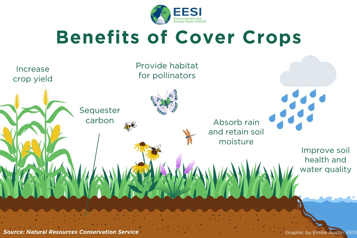 Modern Agriculture and its impact on environment by Pritish.