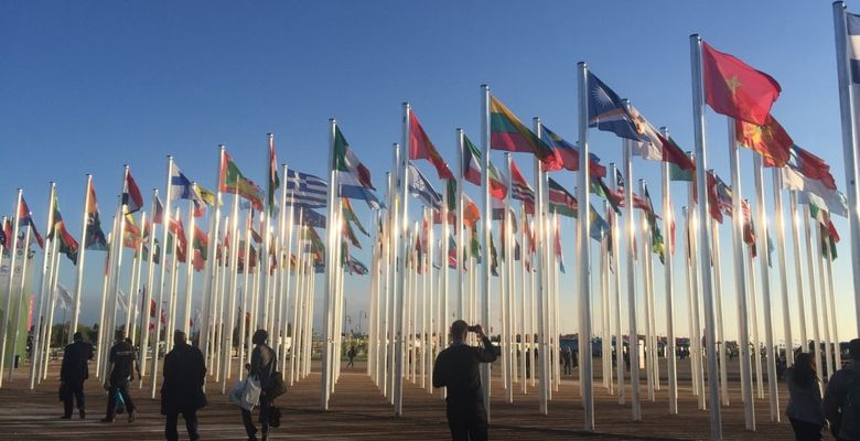 The 28th session of the Conference of the Parties (COP 28) - Mundo Verde Climate