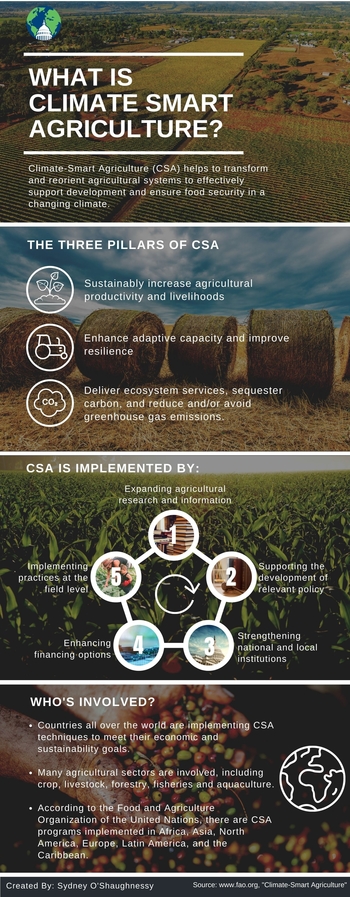 Climate Smart Agriculture Description