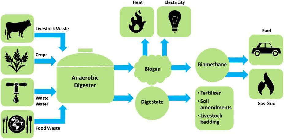 Waste To Energy Process Flow Chart