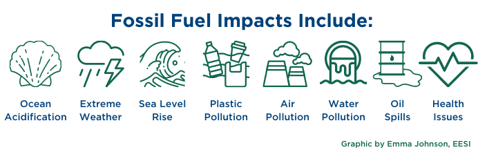 Fossil_Fuel_Externalities_Factsheet_v4.png