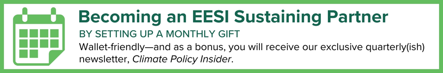 EESI Impact 24 - April 2025 | Newsletter | EESI