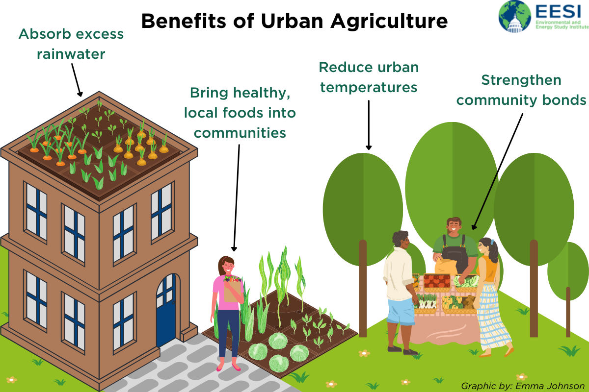 Fixing Food Systems In New Orleans Michael Vincent