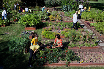 First Lady Michelle Obama and children from several local elementary schools in the White House Organic Farm (credit: Chuck Kennedy / White House)